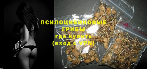 мдма Краснослободск