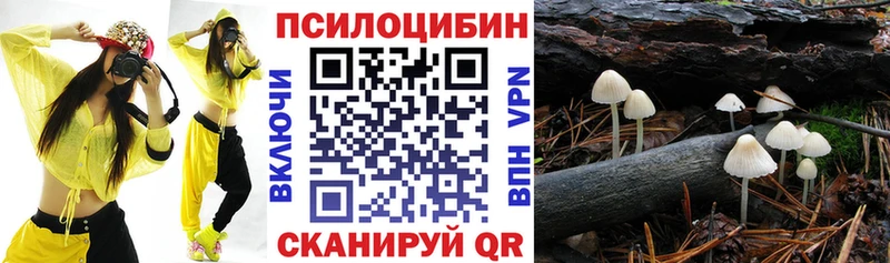 Псилоцибиновые грибы мицелий  Купить где  Кыштым 